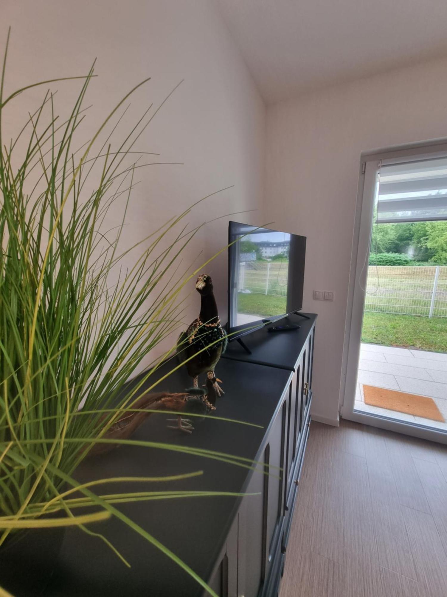 Ferienwohnung Im Palais Am See Am Goitzschesee Bitterfeld-Wolfen Kamer foto